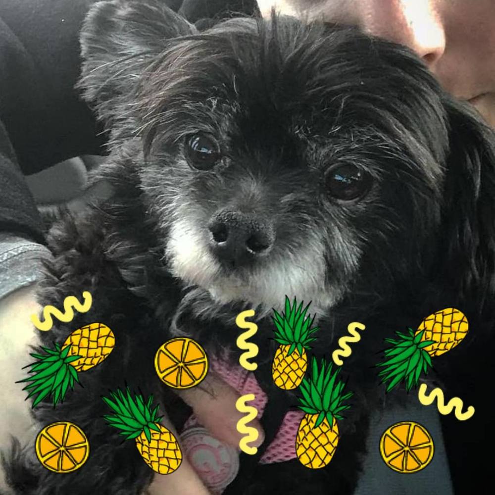 Meet your Posher, Nicole